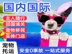 桃仙机场邮寄国际宠物托运 【国